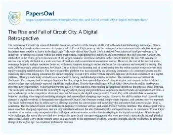 Essay on The Rise and Fall of Circuit City: a Digital Retrospective