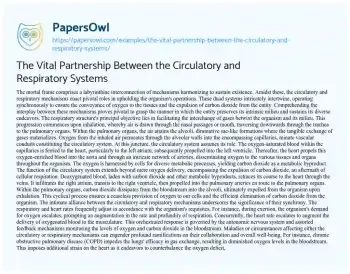 Essay on The Vital Partnership between the Circulatory and Respiratory Systems