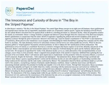 Essay on The Innocence and Curiosity of Bruno in “The Boy in the Striped Pajamas”