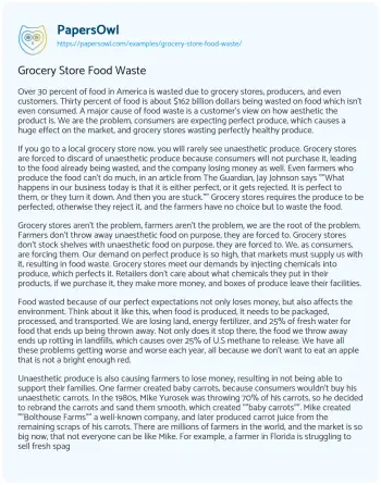 Essay on Grocery Store Food Waste