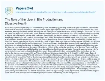 Essay on The Role of the Liver in Bile Production and Digestive Health