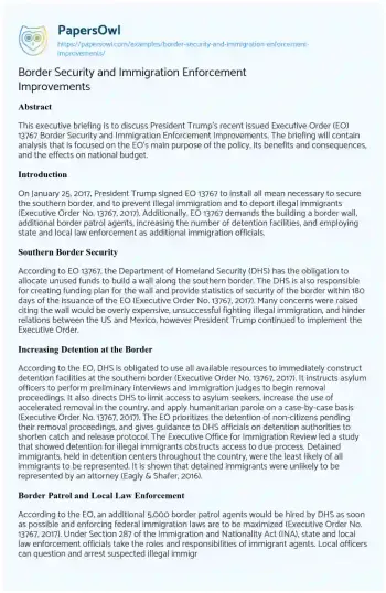 Essay on Border Security and Immigration Enforcement Improvements