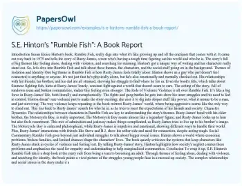 Essay on S.E. Hinton’s “Rumble Fish”: a Book Report