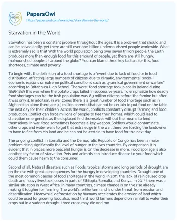 Essay on Starvation in the World