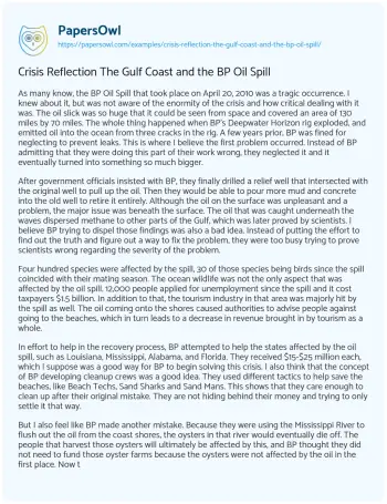 Essay on Crisis Reflection the Gulf Coast and the BP Oil Spill