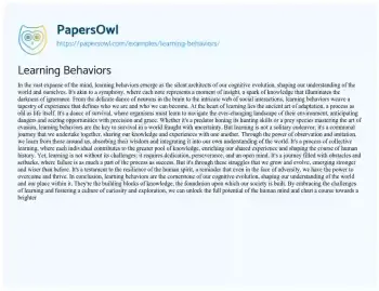 Essay on Learning Behaviors