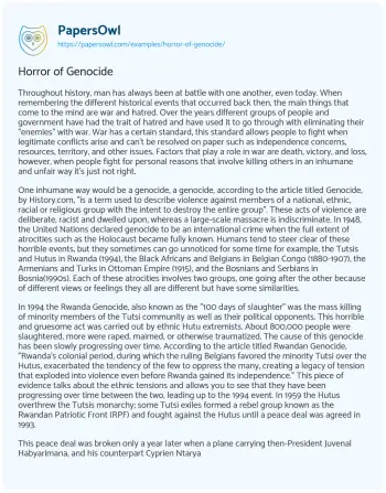 Essay on Horror of Genocide