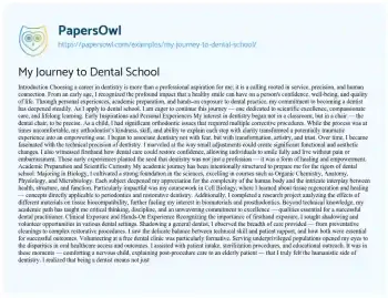 Essay on My Journey to Dental School