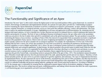 Essay on The Functionality and Significance of an Apex