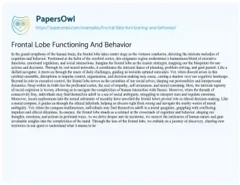 Essay on Frontal Lobe Functioning and Behavior