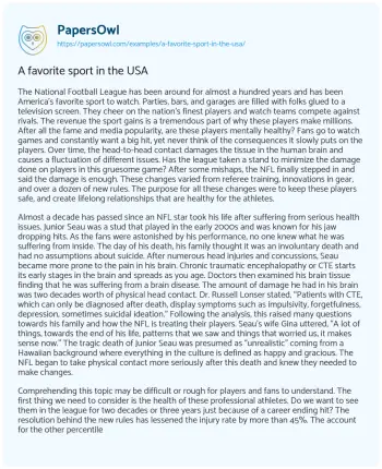 Essay on A Favorite Sport in the USA