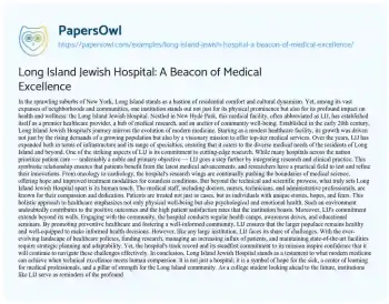 Essay on Long Island Jewish Hospital: a Beacon of Medical Excellence