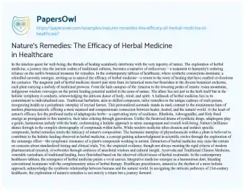 Essay on Nature’s Remedies: the Efficacy of Herbal Medicine in Healthcare