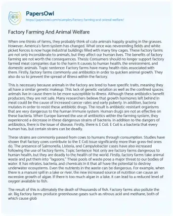 Essay on Factory Farming And Animal Welfare