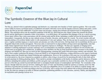 Essay on The Symbolic Essence of the Blue Jay in Cultural Lore