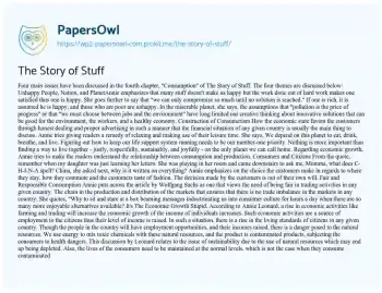 Essay on The Story of Stuff