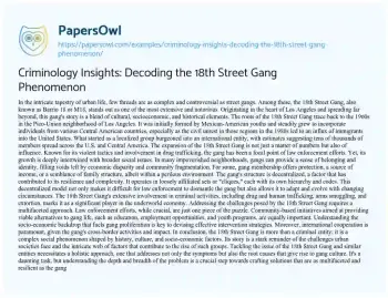 Essay on Criminology Insights: Decoding the 18th Street Gang Phenomenon