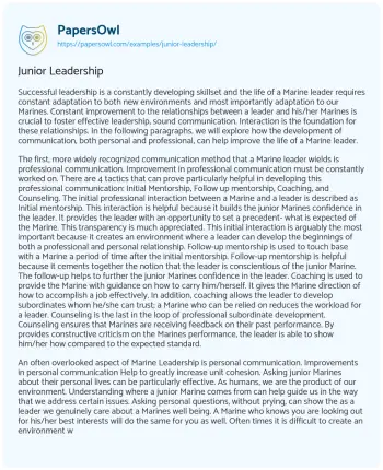 Essay on Junior Leadership