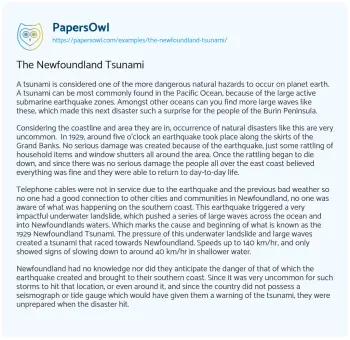 Essay on The Newfoundland Tsunami