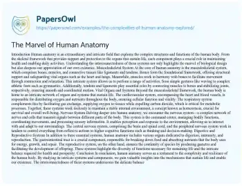 Essay on The Marvel of Human Anatomy