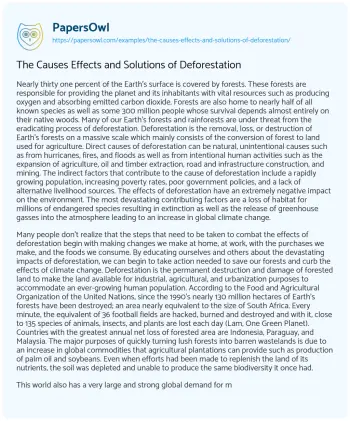 Essay on The Causes Effects and Solutions of Deforestation