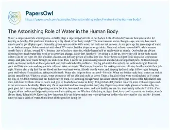 Essay on The Astonishing Role of Water in the Human Body