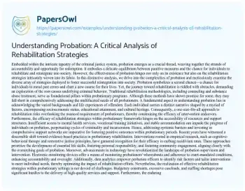 Essay on Understanding Probation: a Critical Analysis of Rehabilitation Strategies