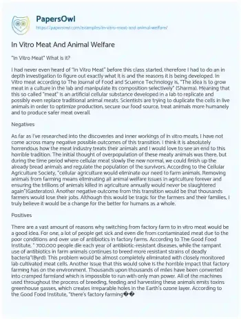 Essay on In Vitro Meat And Animal Welfare