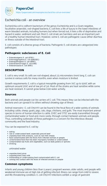 Essay on Escherichia Coli – an Overview