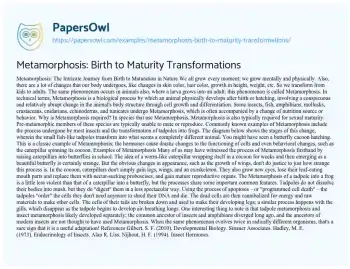 Essay on Metamorphosis: Birth to Maturity Transformations