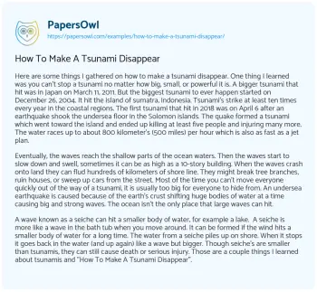 Essay on How to Make a Tsunami Disappear