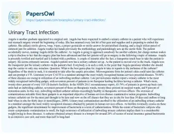 Essay on Urinary Tract Infection