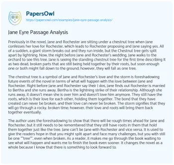 Essay on Jane Eyre Passage Analysis