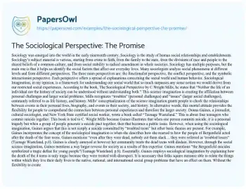 Essay on The Sociological Perspective: the Promise