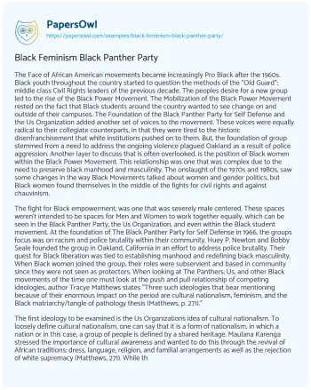 Essay on Black Feminism Black Panther Party