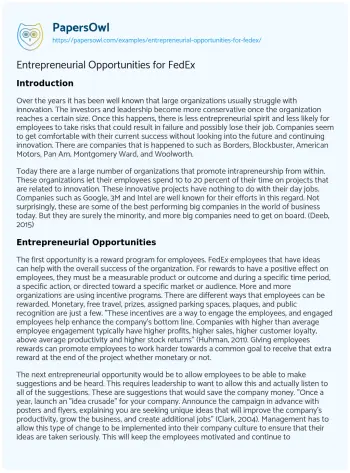 Essay on Innovation in Large Organizations