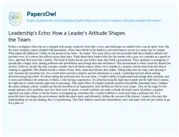 Essay on Leadership’s Echo: how a Leader’s Attitude Shapes the Team