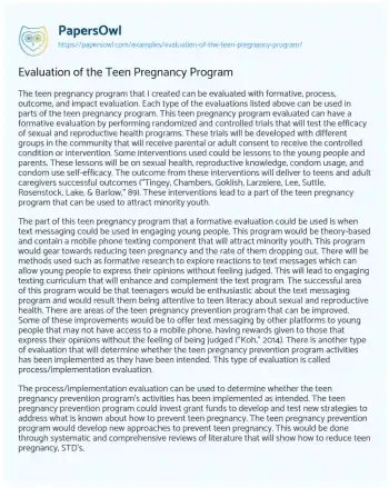 Essay on Evaluation of the Teen Pregnancy Program