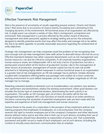 Essay on Effective Teamwork: Risk Management