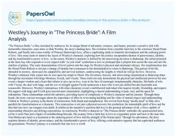 Essay on Westley’s Journey in “The Princess Bride”: a Film Analysis