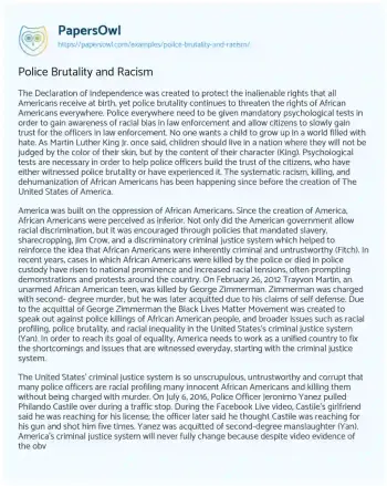 Essay on Police Brutality and Racism