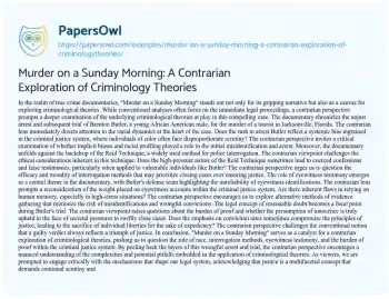 Essay on Murder on a Sunday Morning: a Contrarian Exploration of Criminology Theories