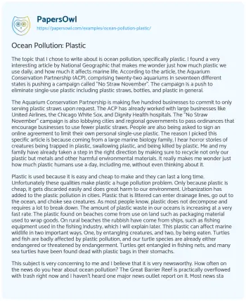 Essay on Ocean Pollution: Plastic