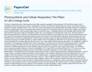 Essay on Photosynthesis and Cellular Respiration: the Pillars of Life’s Energy Cycle