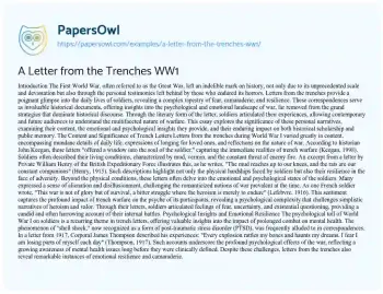 Essay on A Letter from the Trenches WW1