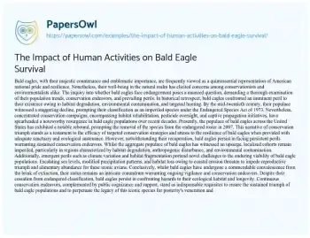 Essay on The Impact of Human Activities on Bald Eagle Survival