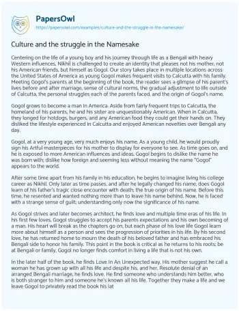 Essay on Culture and the Struggle in the Namesake