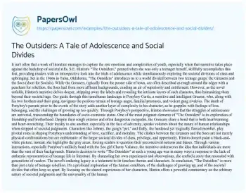 Essay on The Outsiders: a Tale of Adolescence and Social Divides