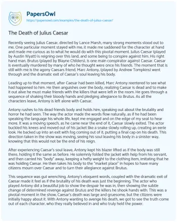 Essay on The Death of Julius Caesar