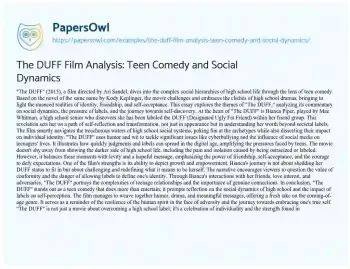 Essay on The DUFF Film Analysis: Teen Comedy and Social Dynamics